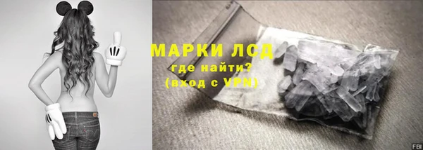 PSILOCYBIN Нефтекумск