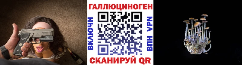 наркошоп  Задонск  маркетплейс формула  Галлюциногенные грибы Psilocybe 